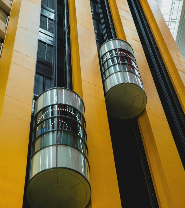 pexels ryutaro 6249432